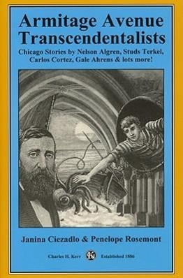 Vorderes Coverbild Armitage Avenue Transcendentalists