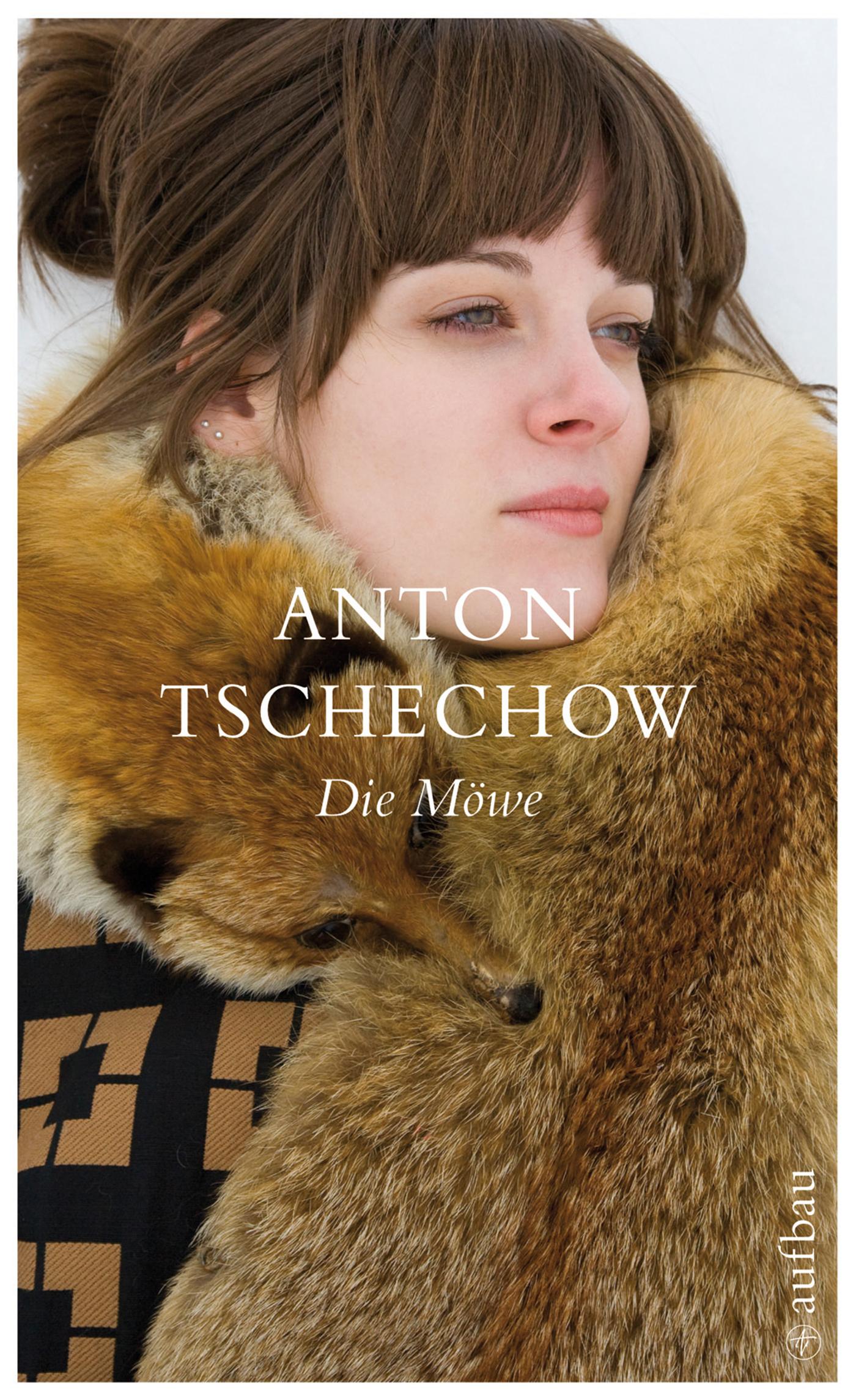Vorderes Coverbild Die Möwe