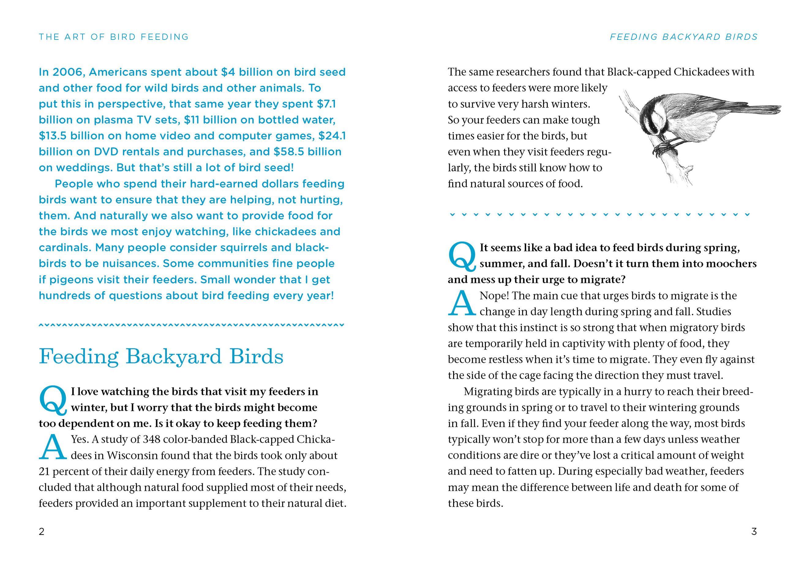 Beispielinhalt (Bild) The Bird Watching Answer Book