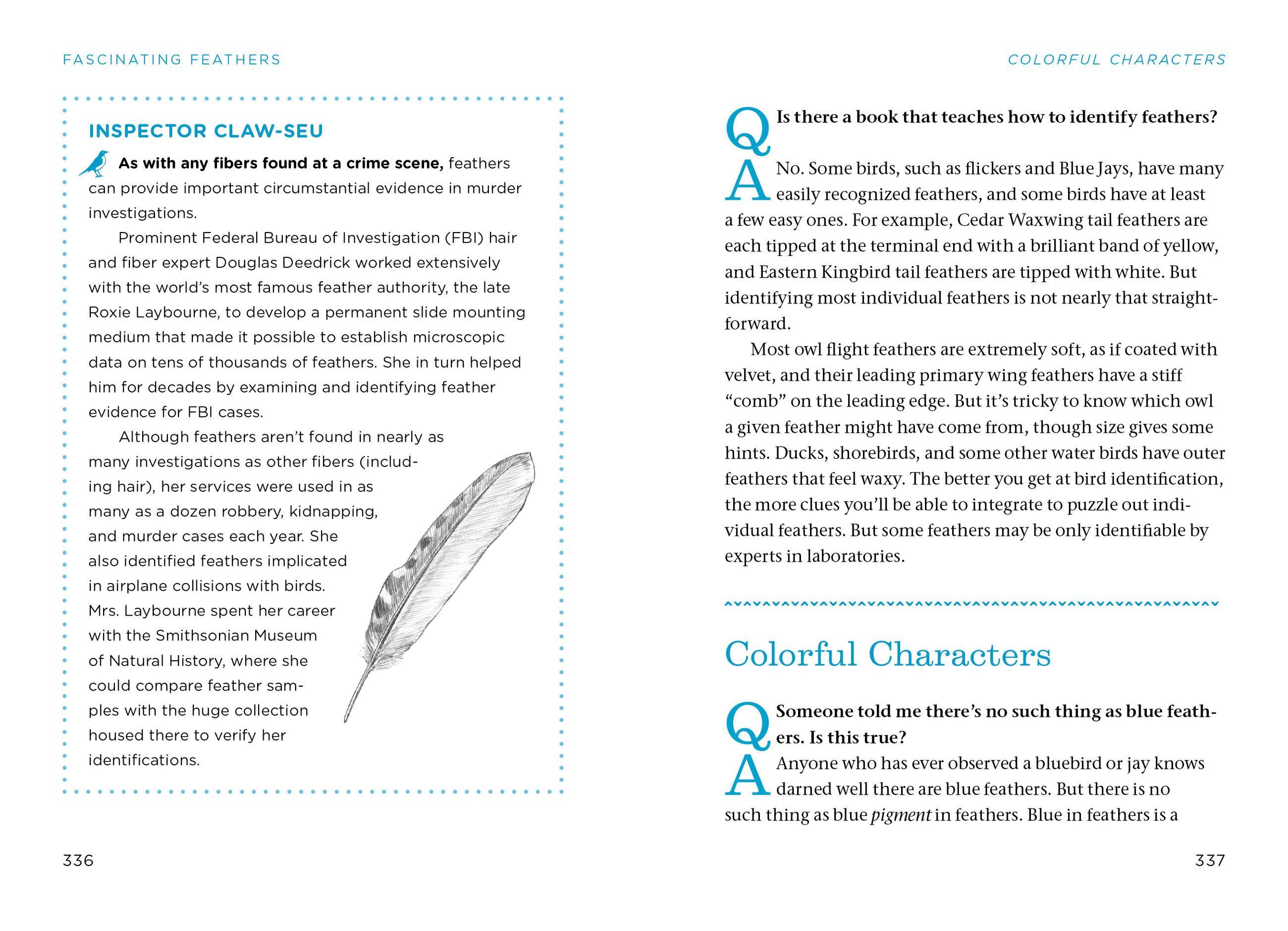 Beispielinhalt (Bild) The Bird Watching Answer Book