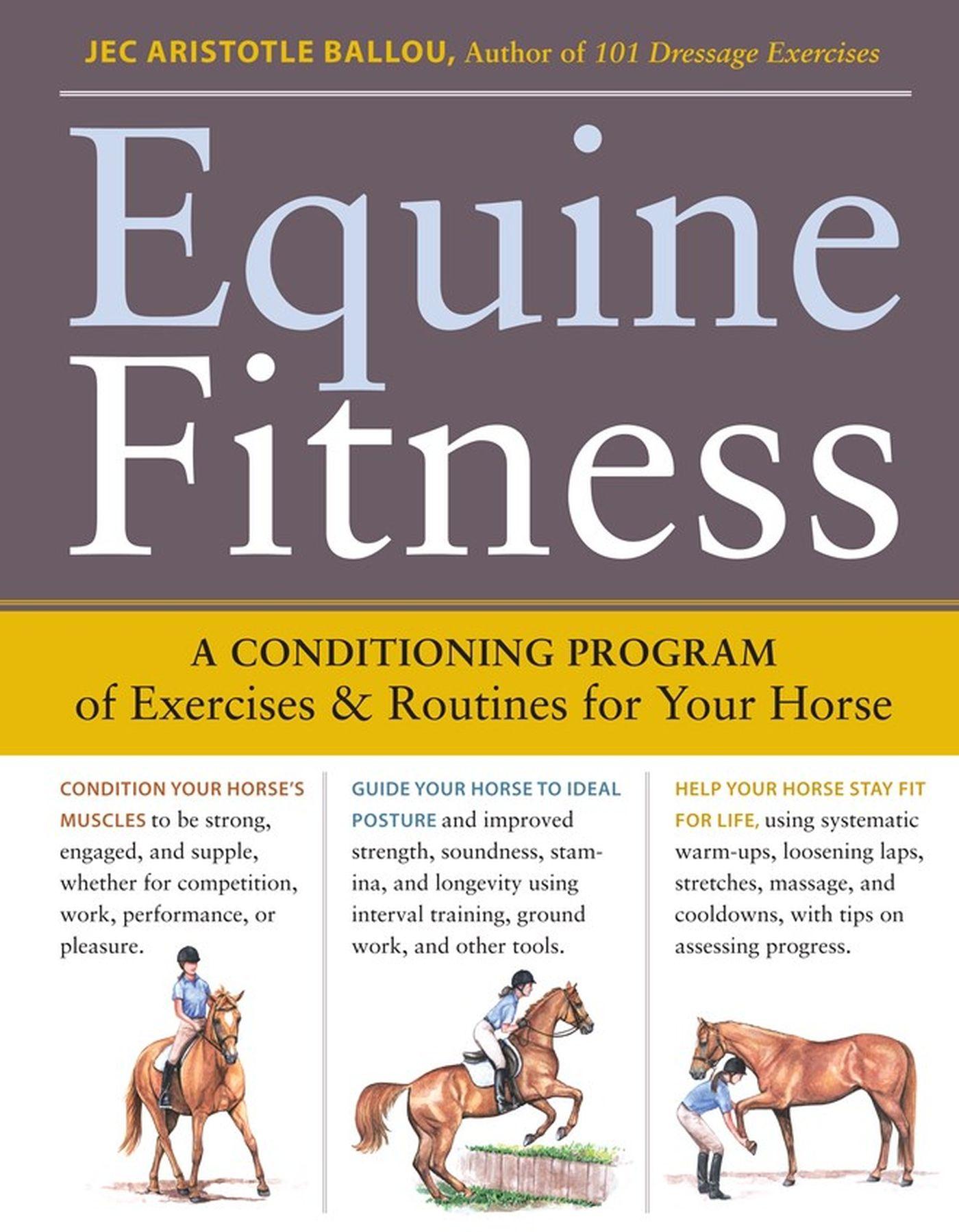 Vorderes Coverbild Equine Fitness