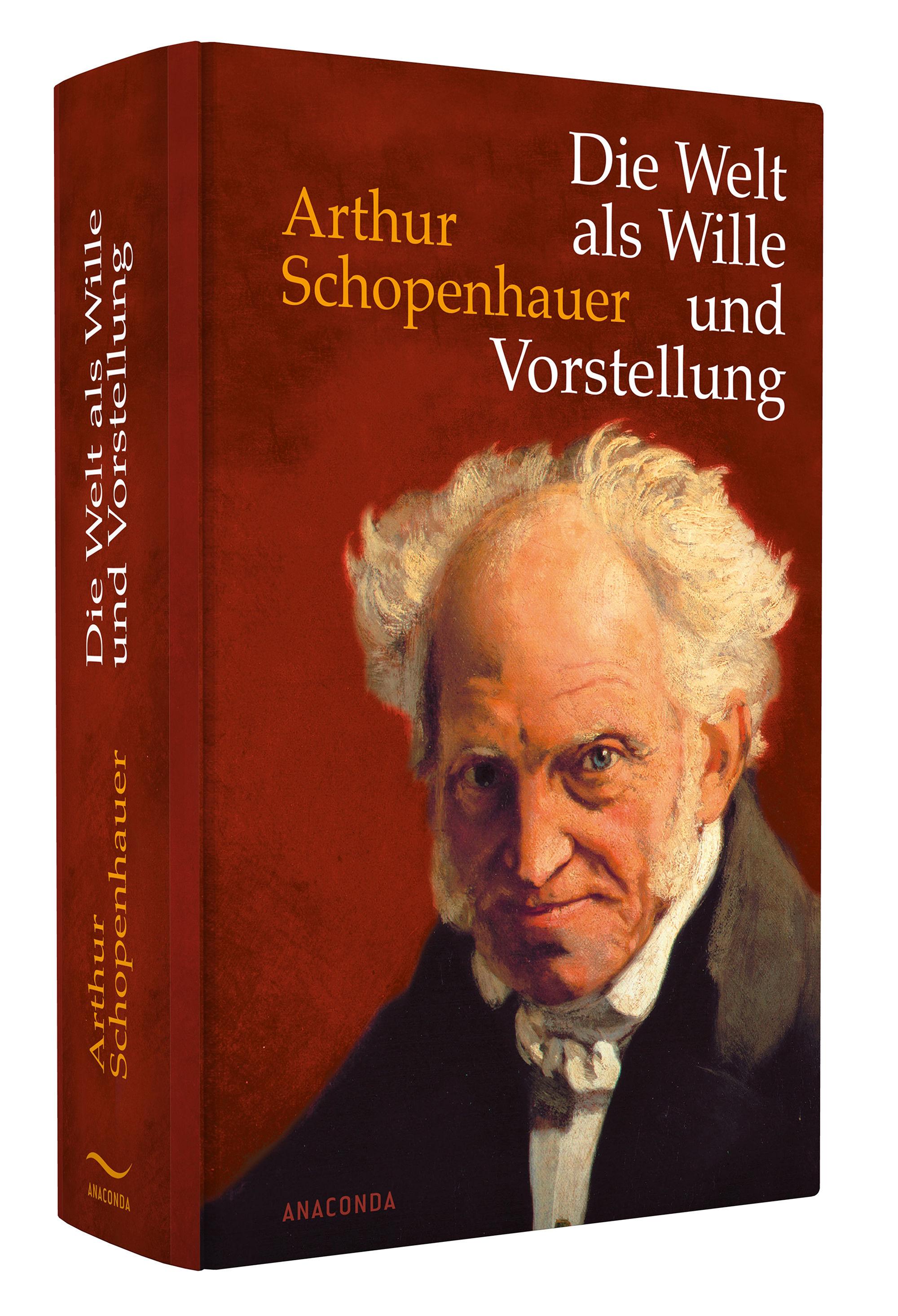 Beispielinhalt (Bild) Die Welt als Wille und Vorstellung
