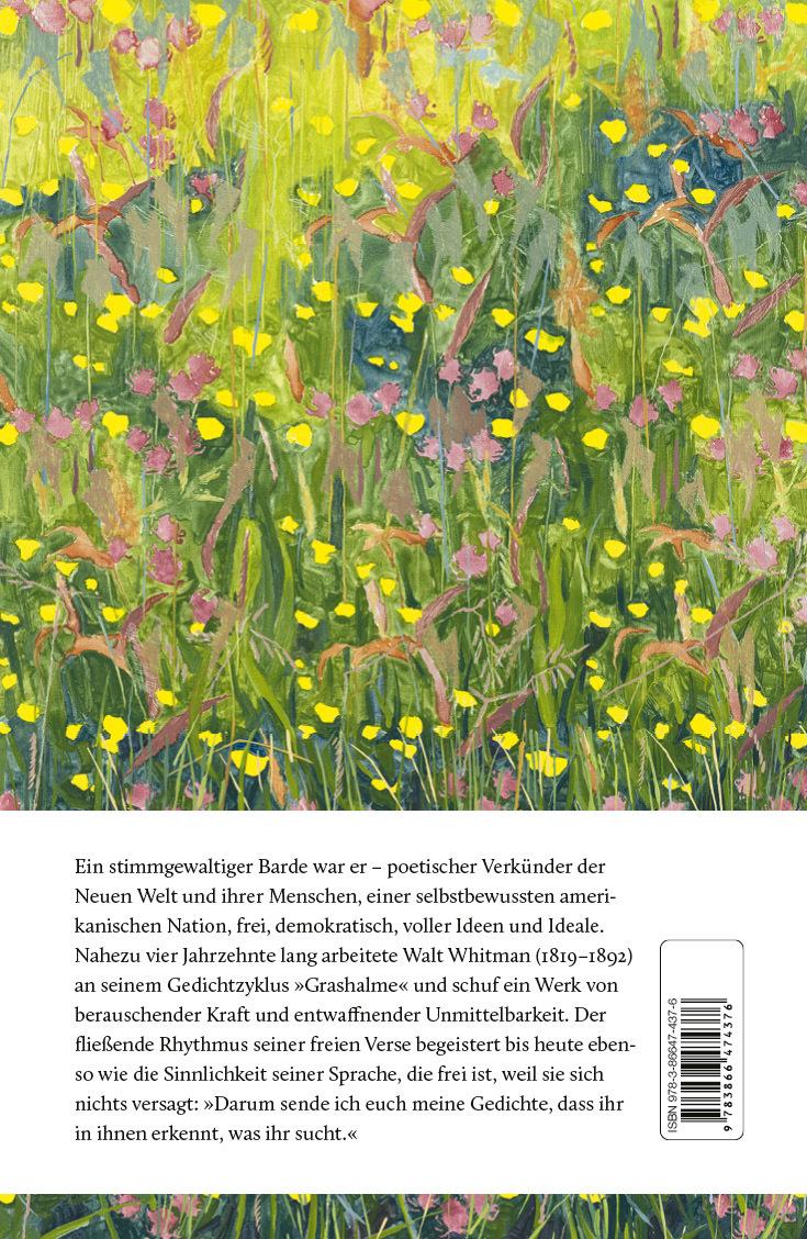Beispielinhalt (Bild) Grashalme