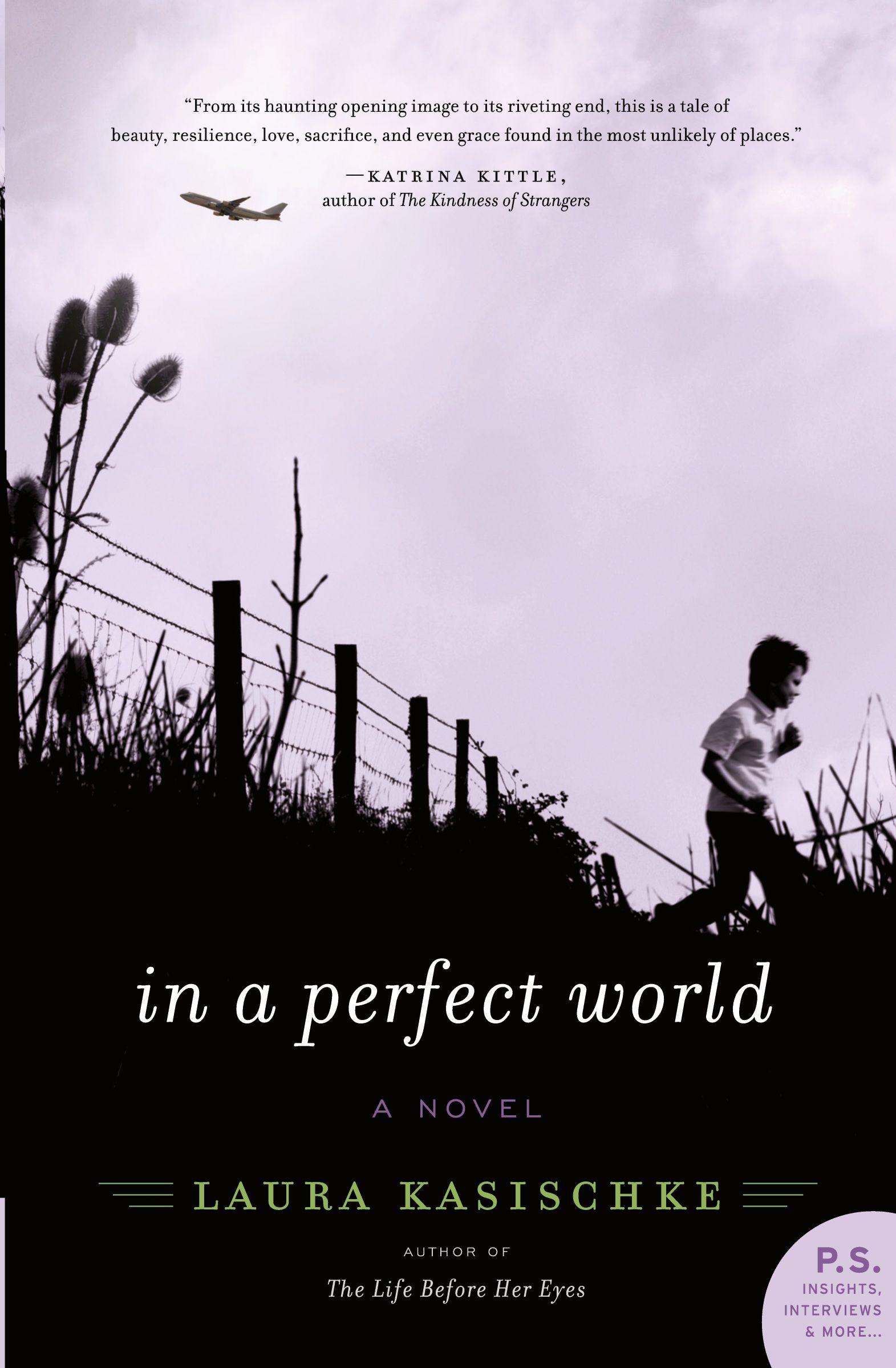 Vorderes Coverbild In a Perfect World