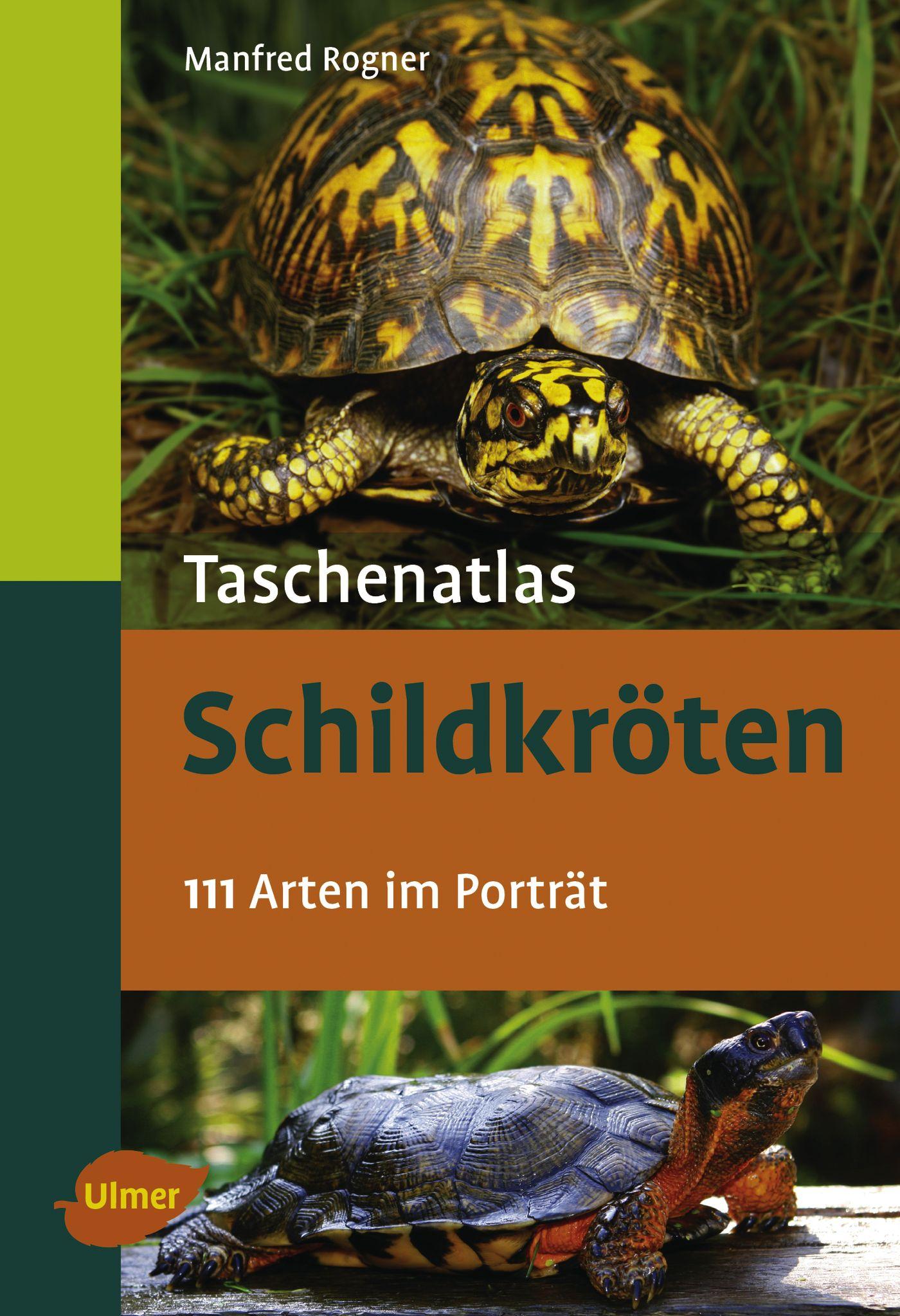 Vorderes Coverbild Taschenatlas Schildkröten