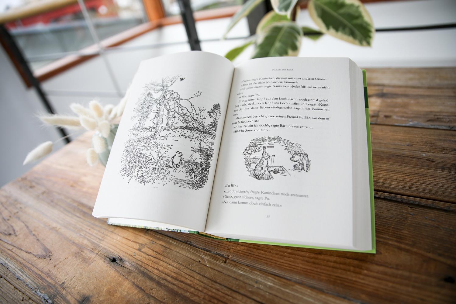 Beispielinhalt (Bild) Pu der Bär