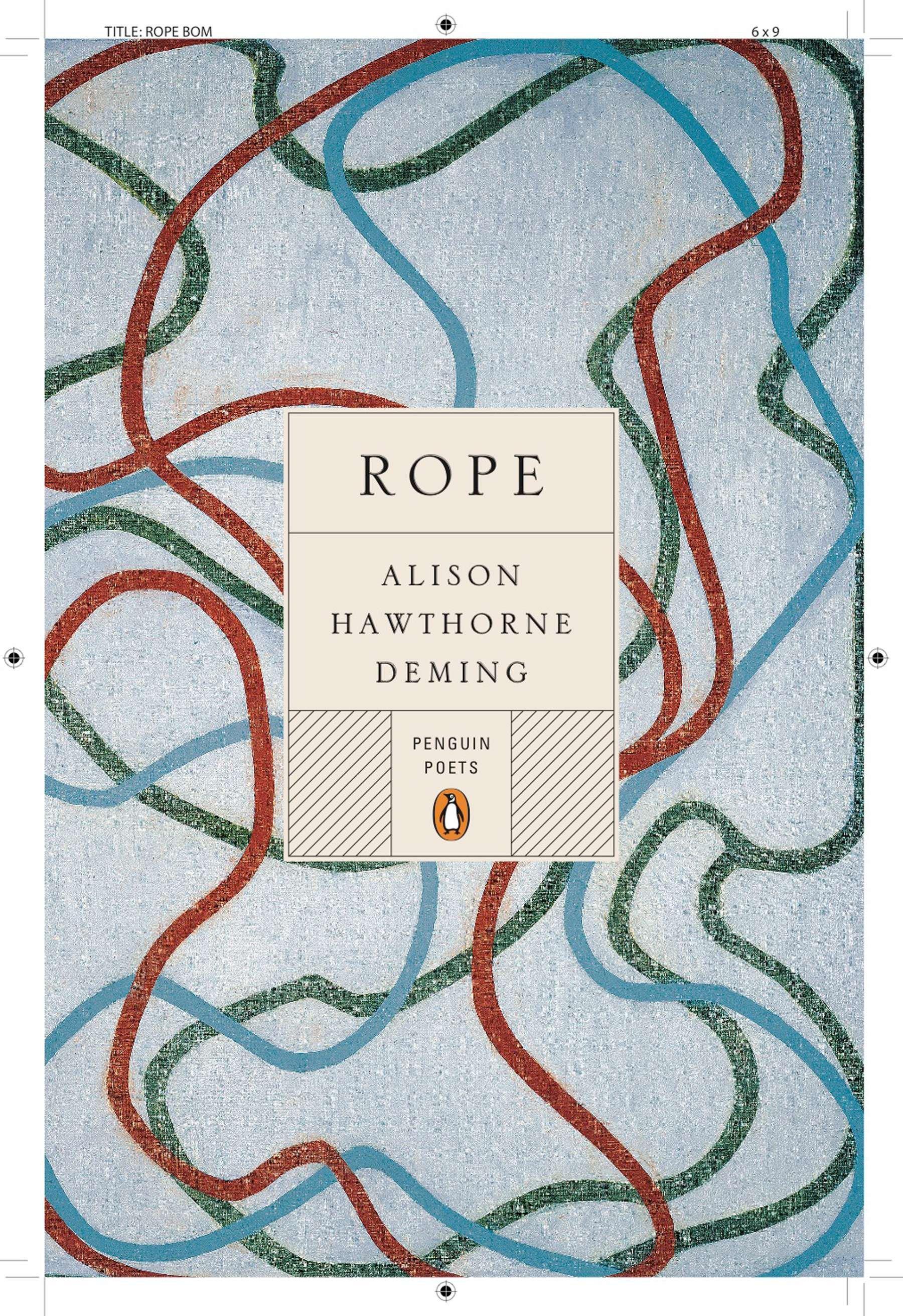 Vorderes Coverbild Rope