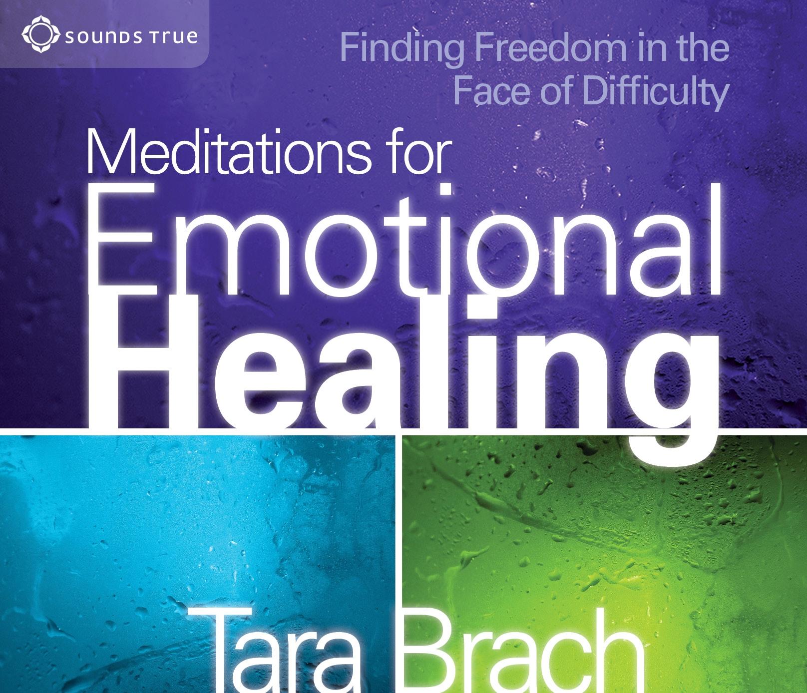 Vorderes Coverbild Meditations for Emotional Healing: Finding Freedom in the Face of Difficulty