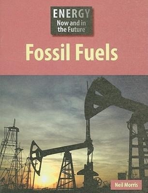 Vorderes Coverbild Fossil Fuels