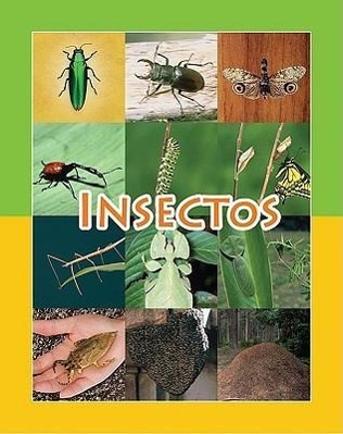 Vorderes Coverbild Insectos