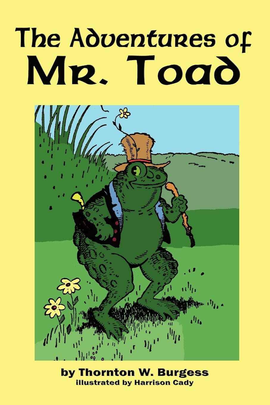 Vorderes Coverbild The Adventures of Old Mr. Toad