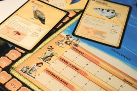 Beispielinhalt (Bild) Fauna