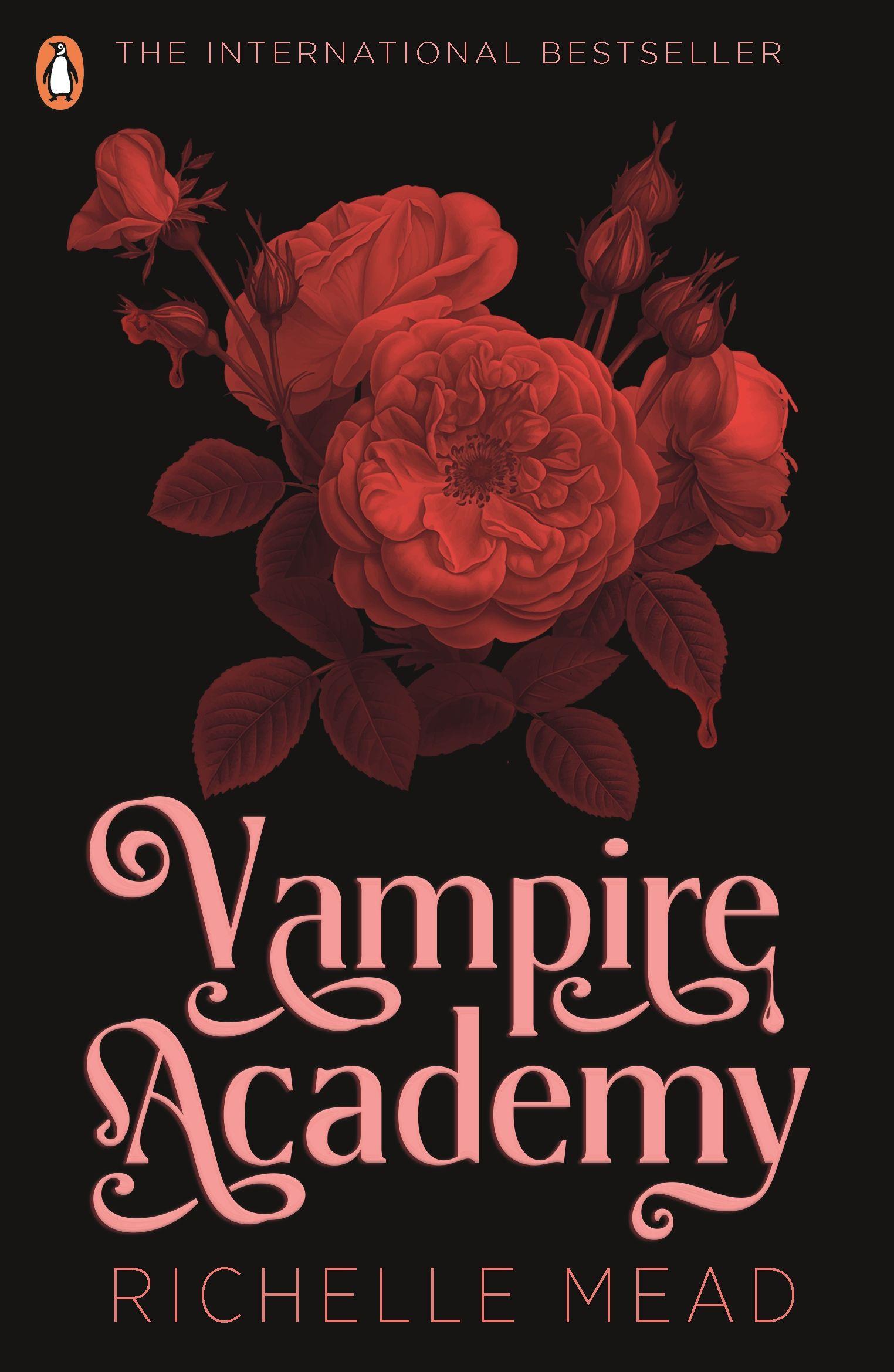 Vorderes Coverbild Vampire Academy (book 1)