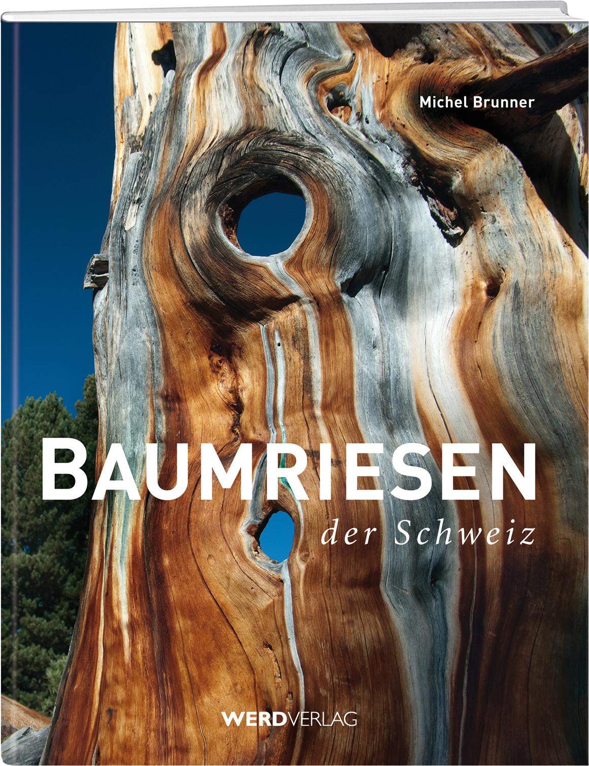 Vorderes Coverbild Baumriesen der Schweiz