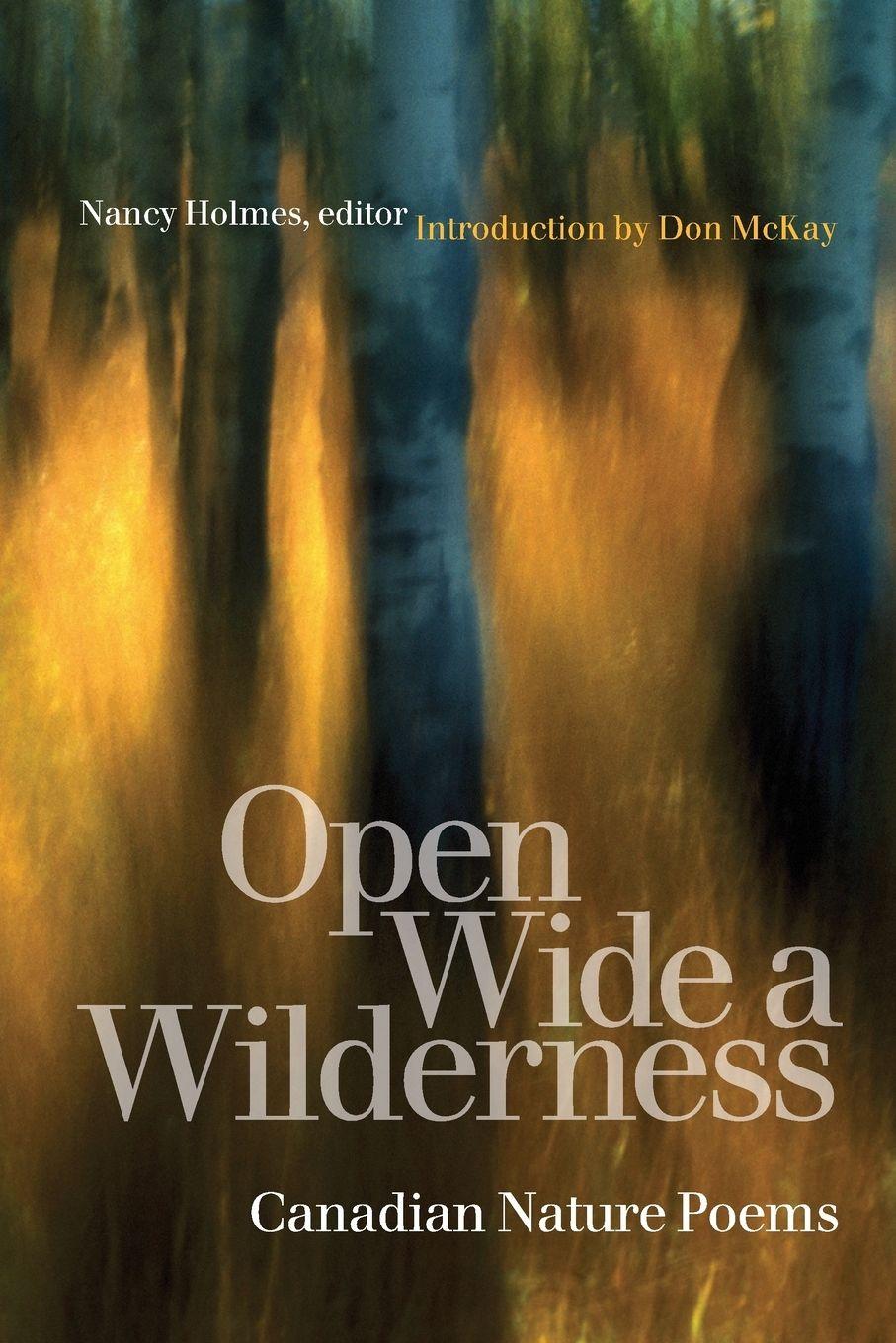Vorderes Coverbild Open Wide a Wilderness