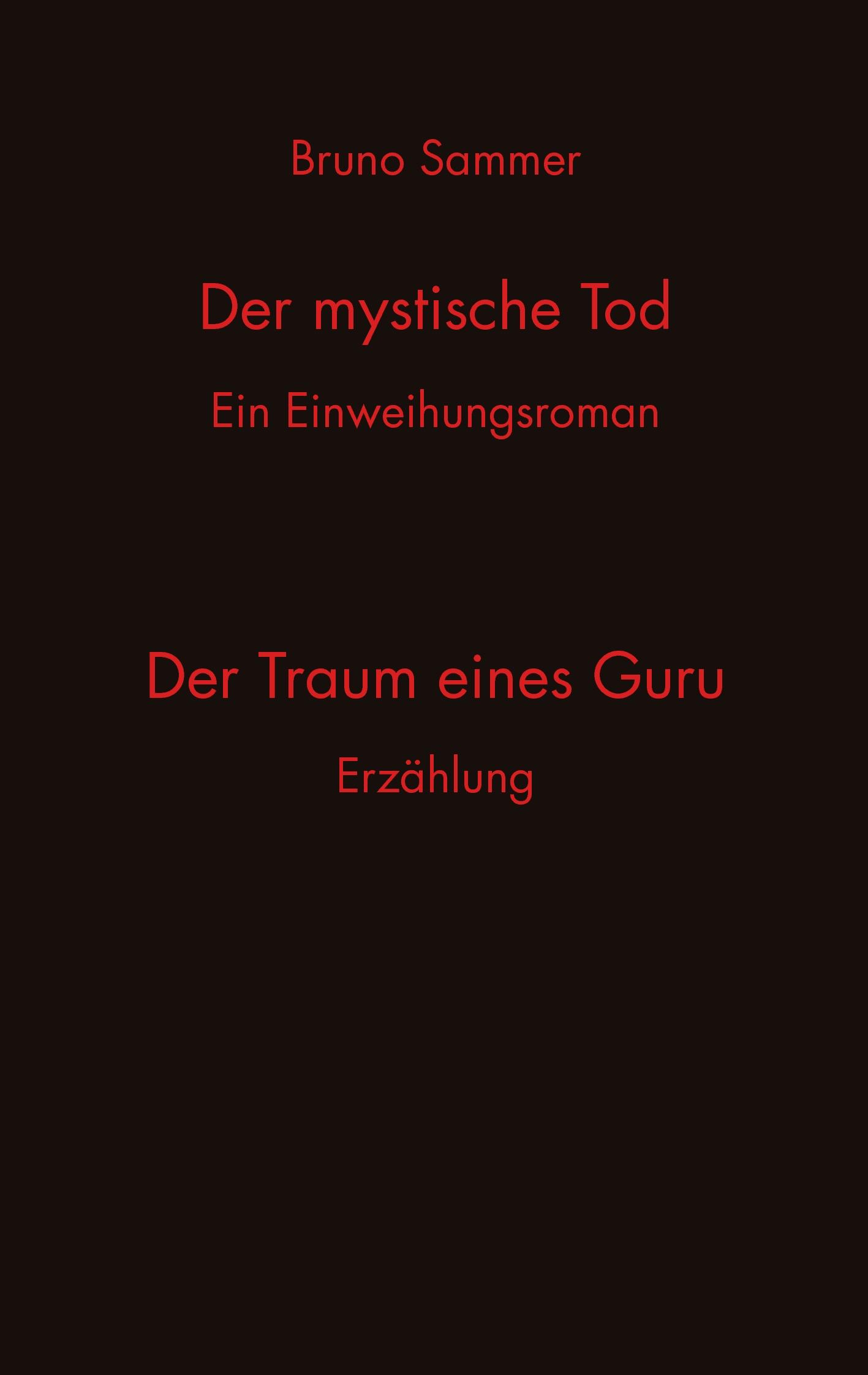 Vorderes Coverbild Der mystische Tod/Der Traum eines Guru