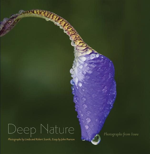 Vorderes Coverbild Deep Nature