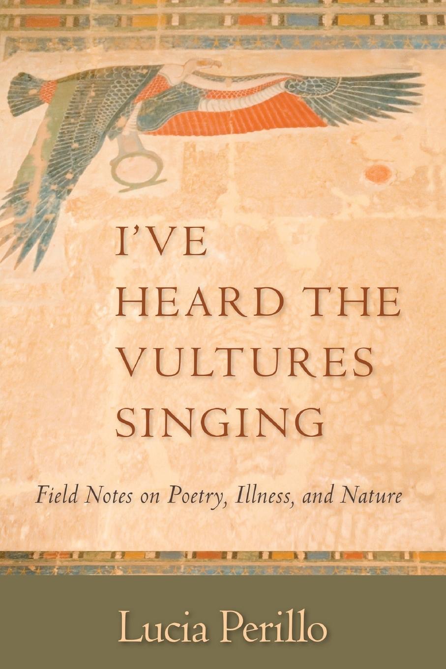 Vorderes Coverbild I've Heard the Vultures Singing