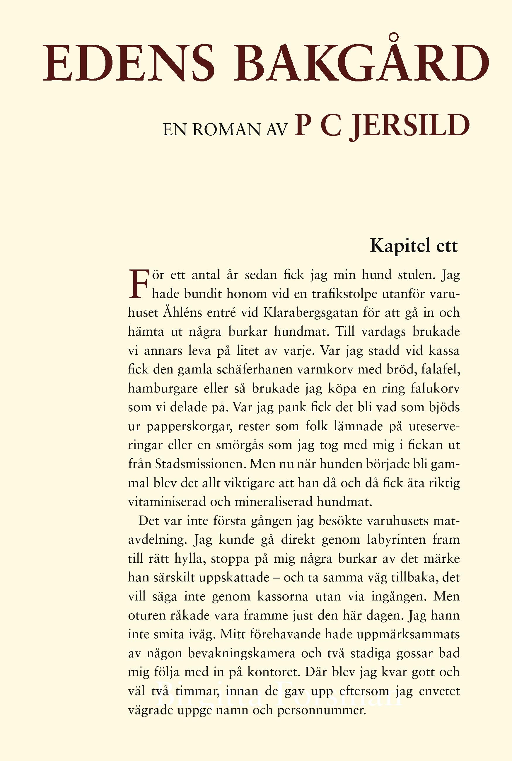 Vorderes Coverbild Edens bakgård