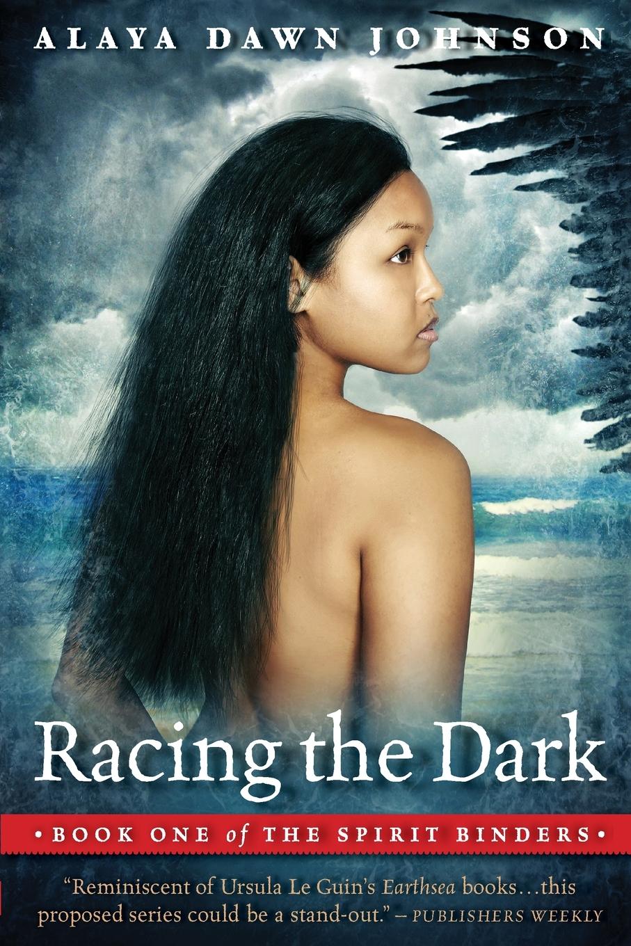 Vorderes Coverbild Racing the Dark