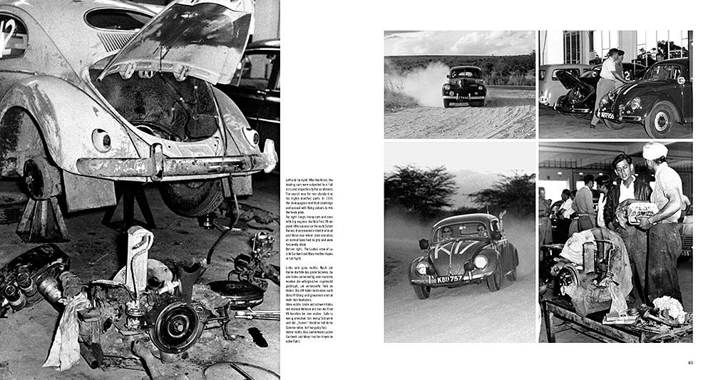 Beispielinhalt (Bild) Safari Rally