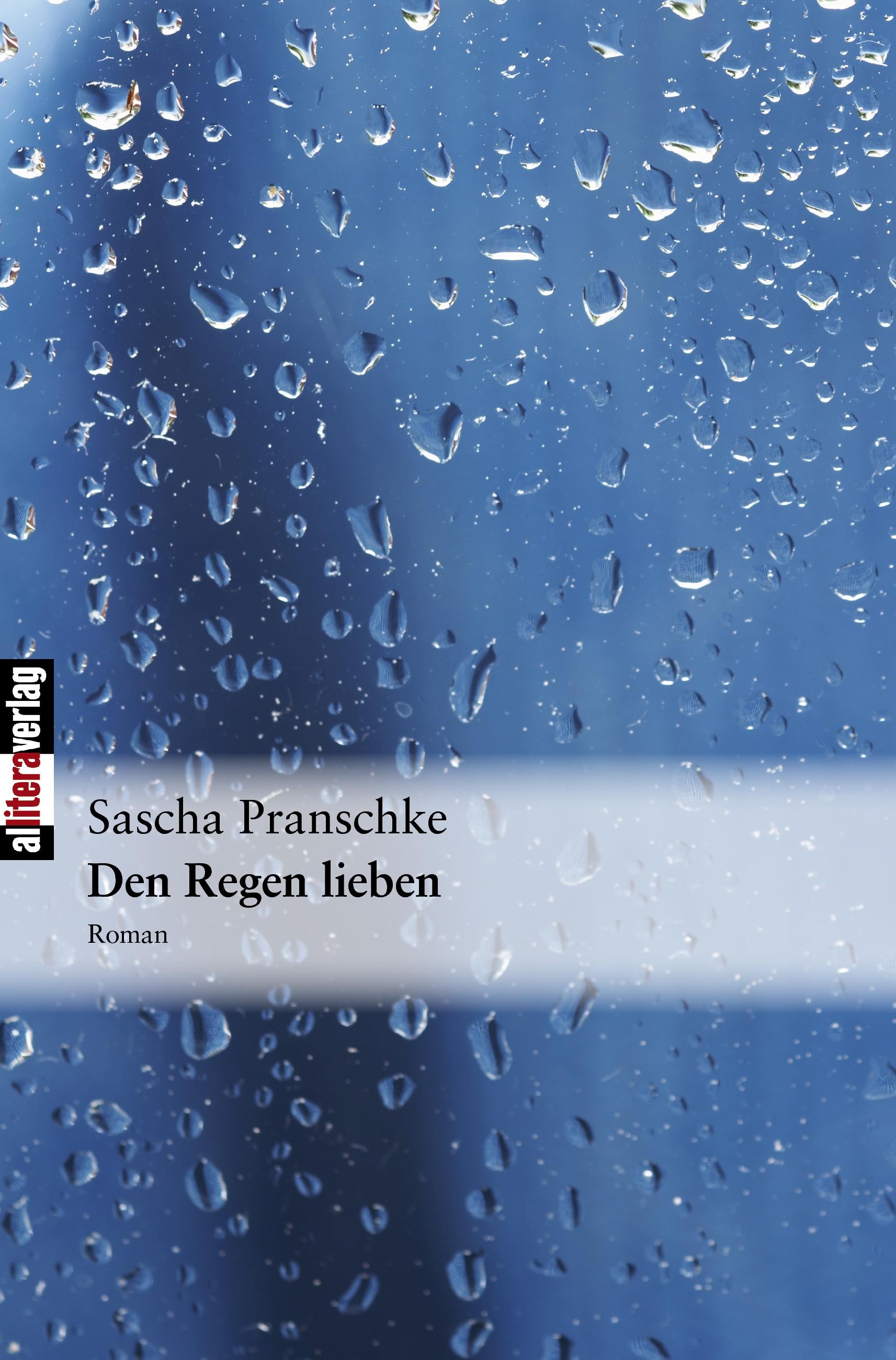 Vorderes Coverbild Den Regen lieben