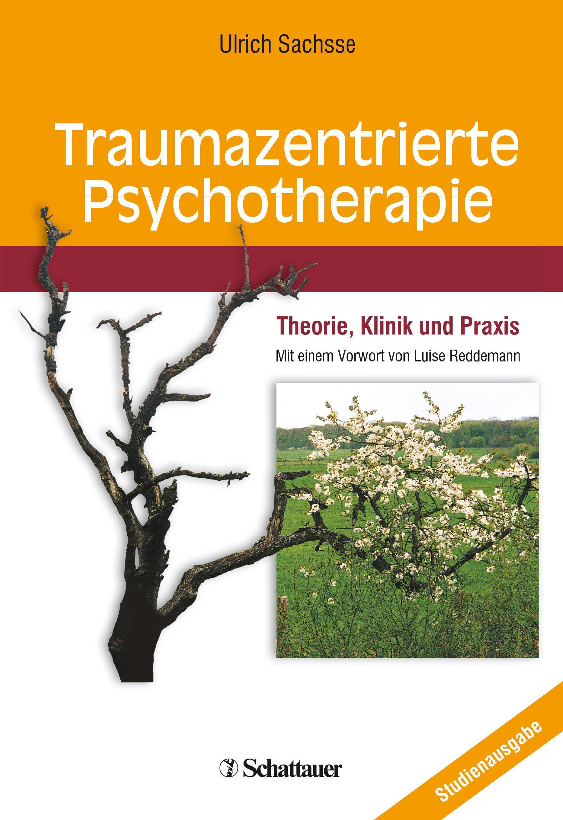 Vorderes Coverbild Traumazentrierte Psychotherapie