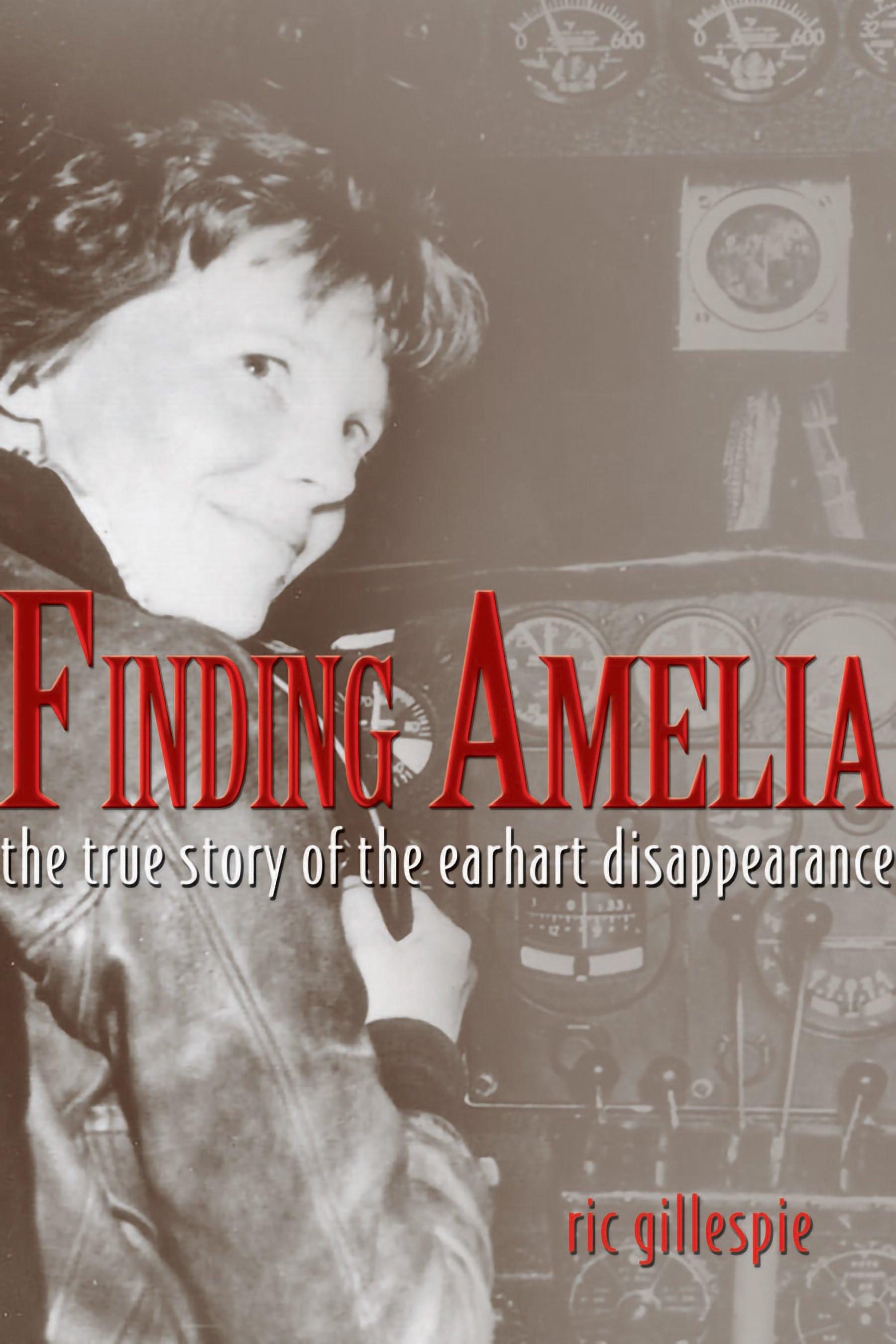 Vorderes Coverbild Finding Amelia
