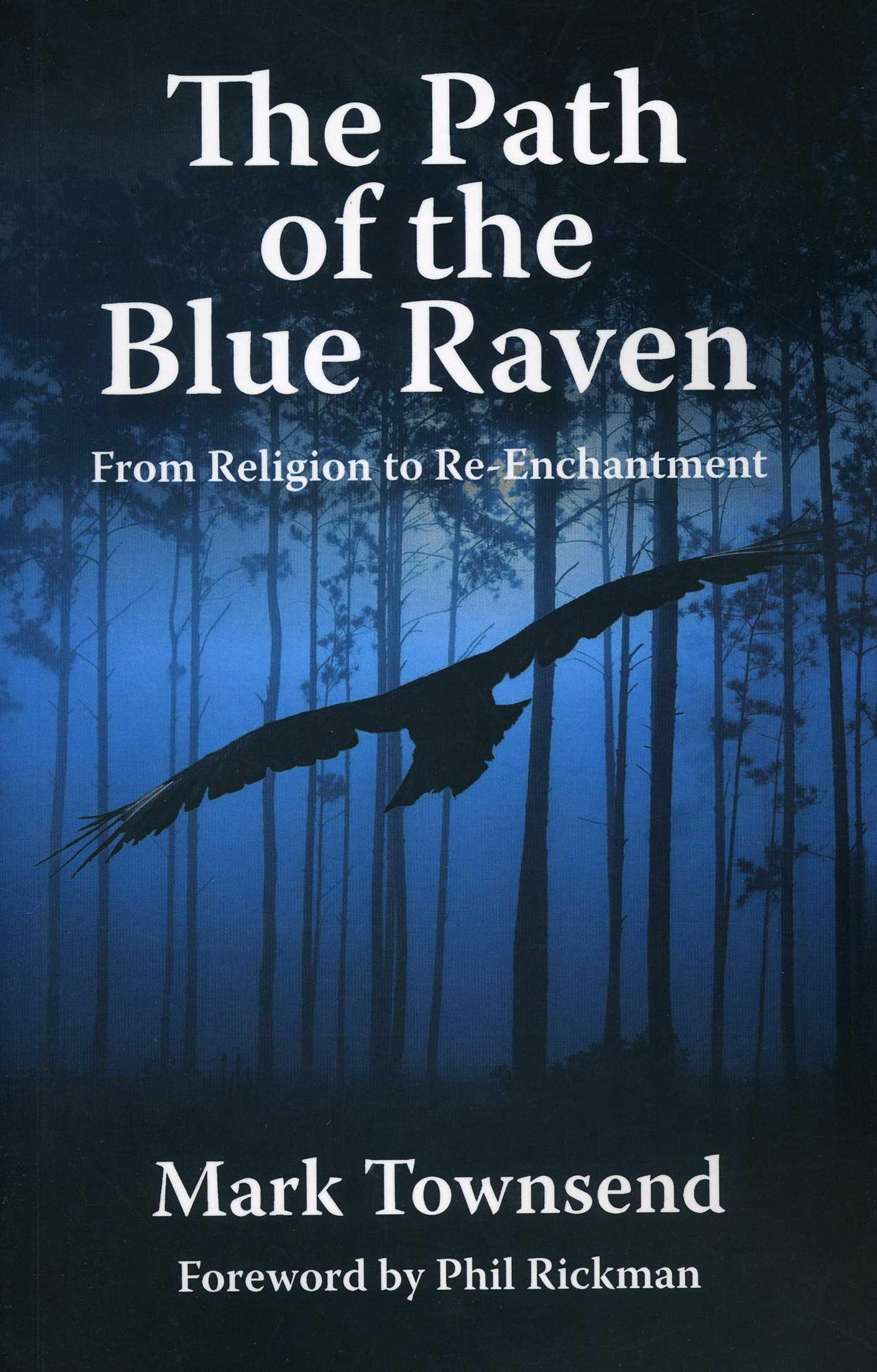 Vorderes Coverbild The Path of the Blue Raven