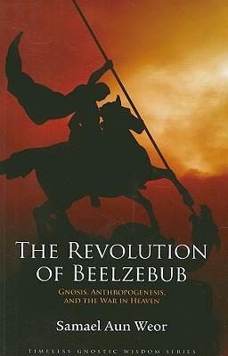 Vorderes Coverbild The Revolution of Beelzebub