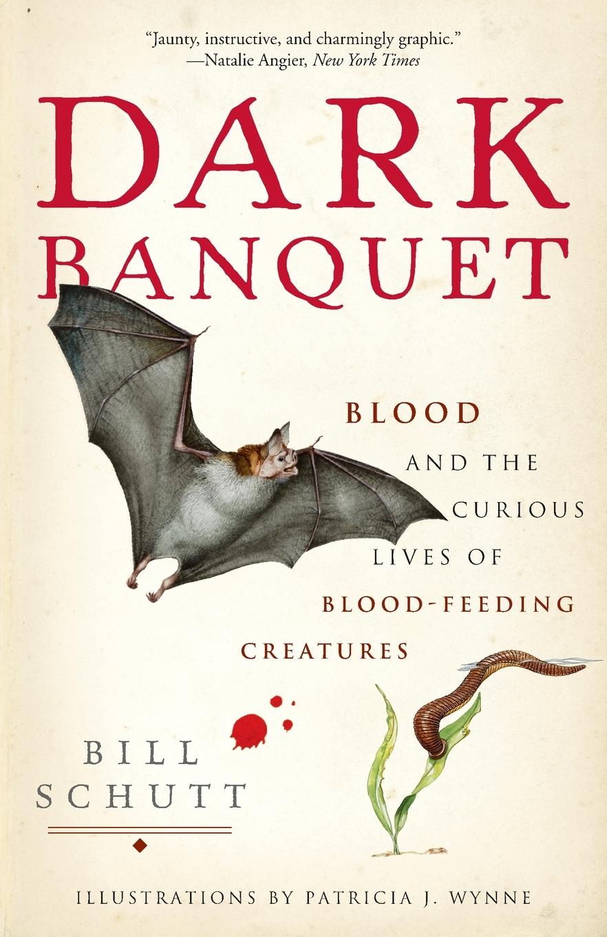 Vorderes Coverbild Dark Banquet