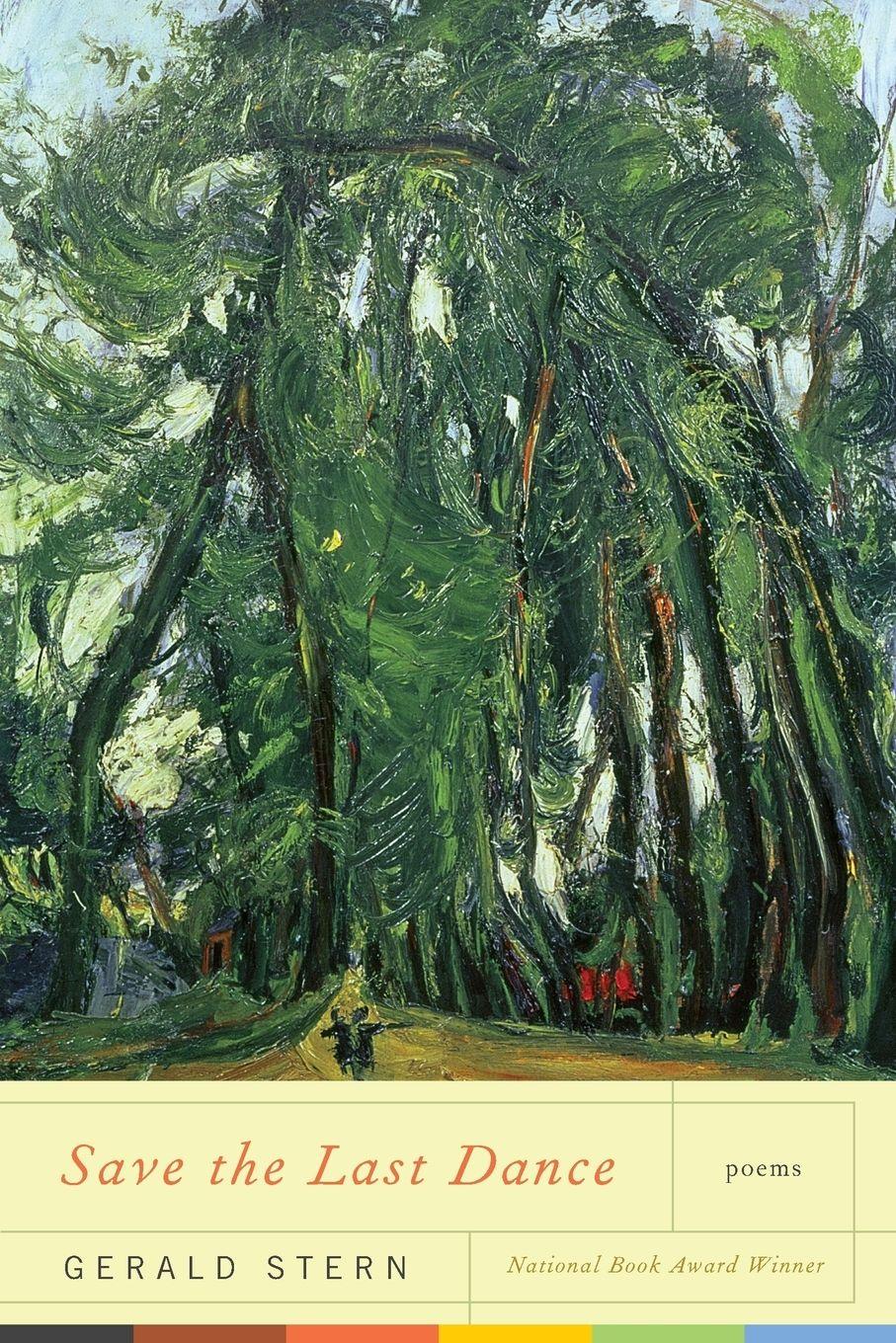 Vorderes Coverbild Save the Last Dance