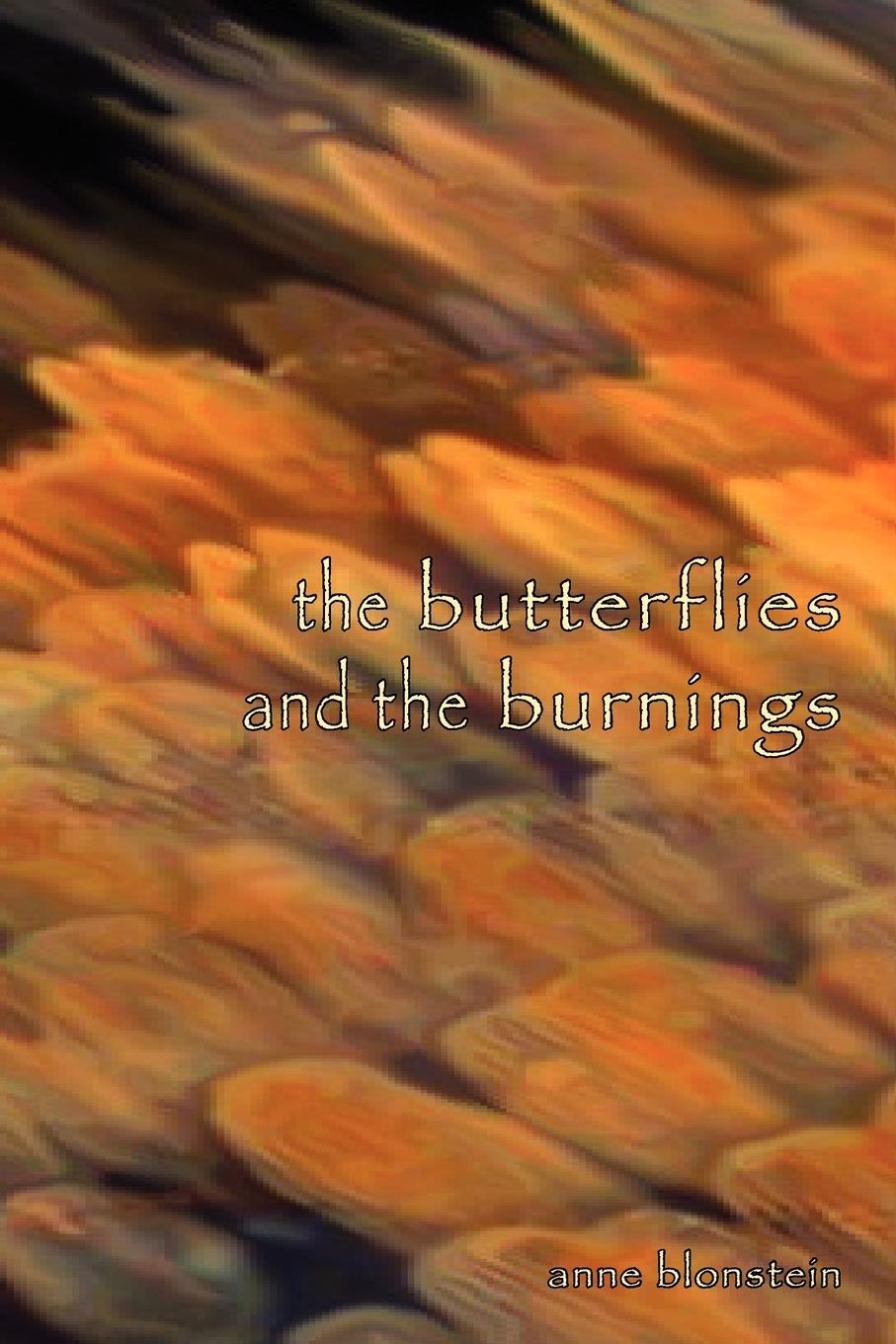 Vorderes Coverbild The Butterflies and the Burnings