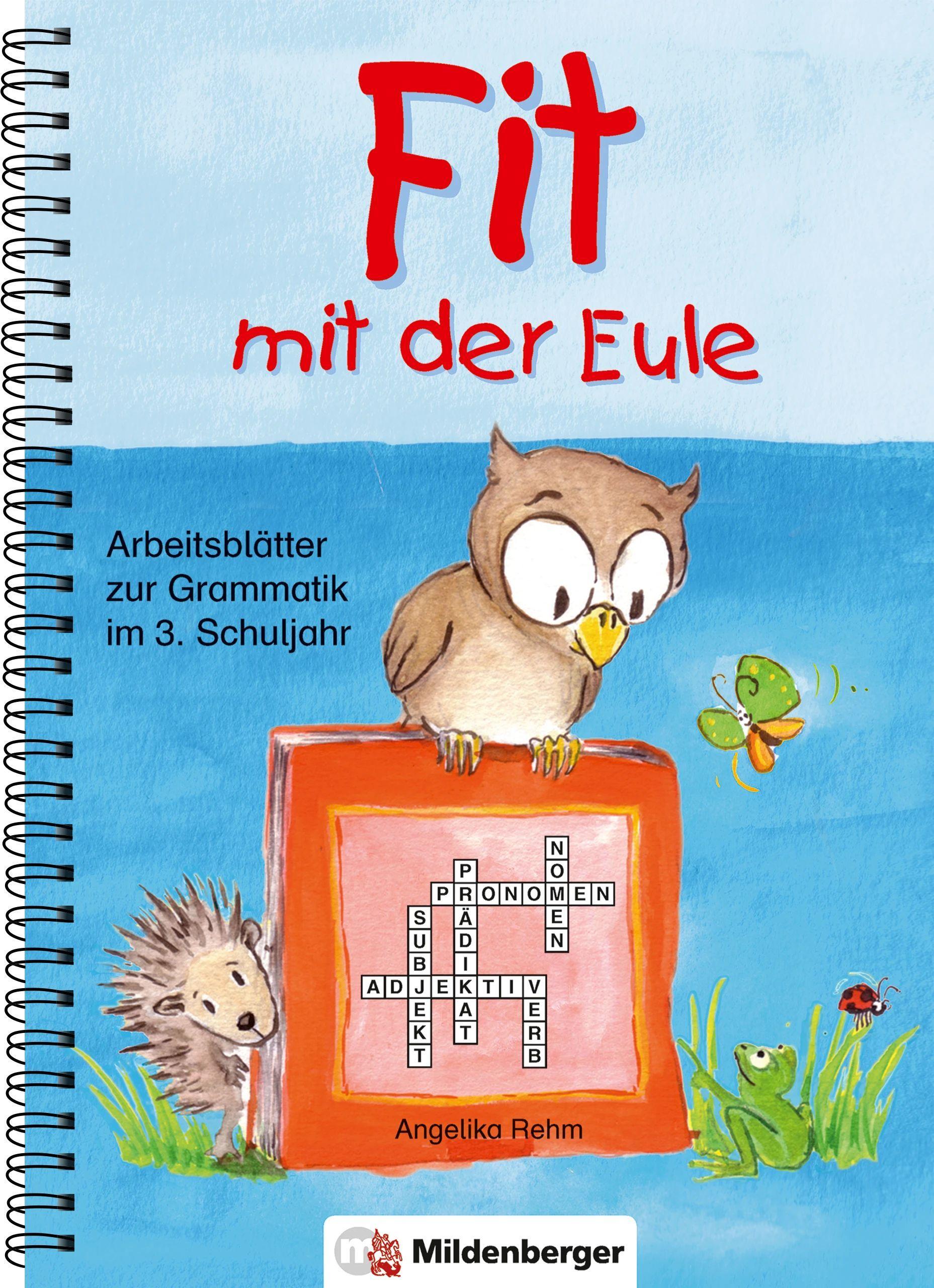 Vorderes Coverbild Fit mit der Eule 3. 3. Schuljahr