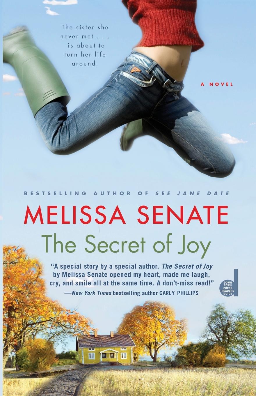 Vorderes Coverbild Secret of Joy