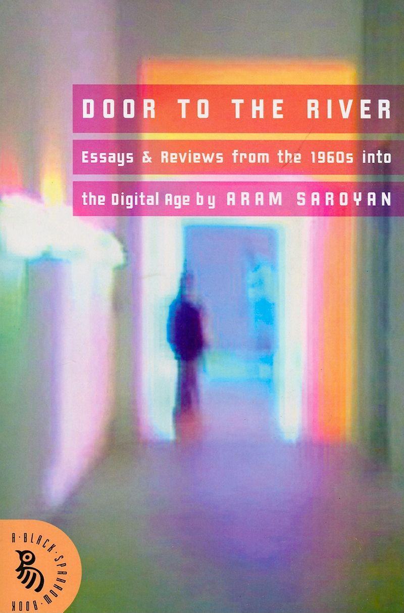 Vorderes Coverbild Door to the River: Essays and Reviews from the 1960s Into the Digital Age
