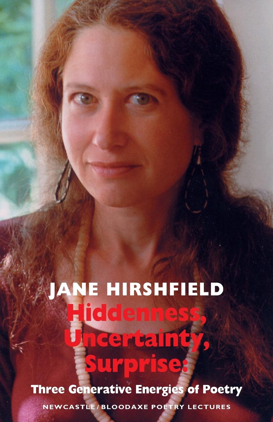 Vorderes Coverbild Hiddenness, Uncertainty, Surprise