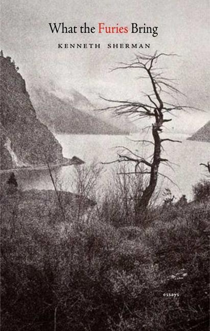 Vorderes Coverbild What the Furies Bring