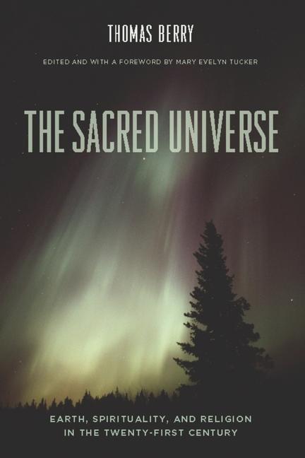 Vorderes Coverbild The Sacred Universe