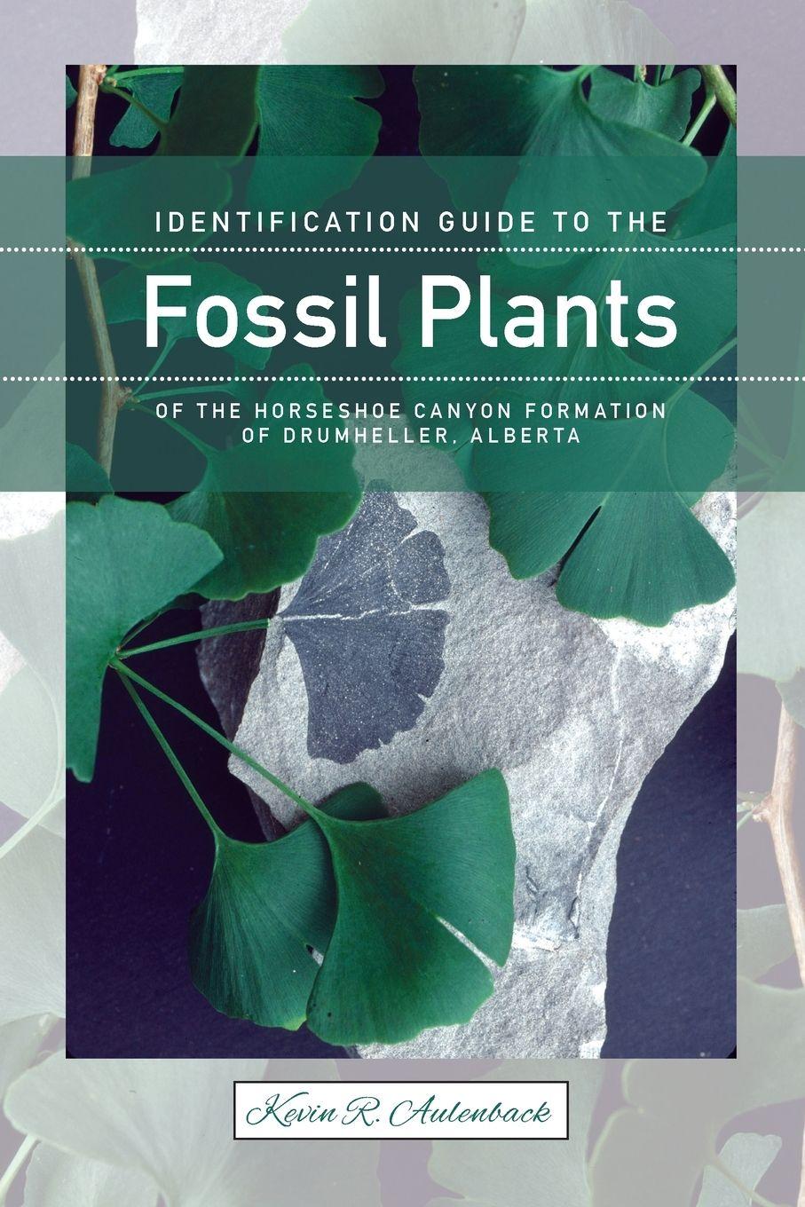Vorderes Coverbild Identification Guide to the Fossil Plants of the Horseshoe Canyon Formation of Drumheller, Alberta (New)