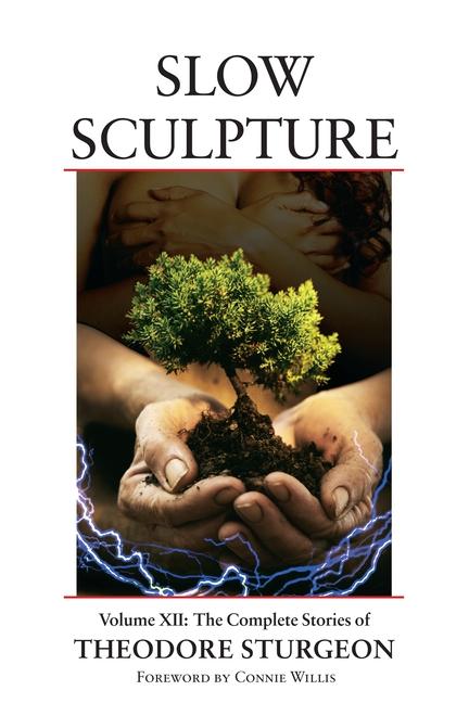 Vorderes Coverbild Slow Sculpture