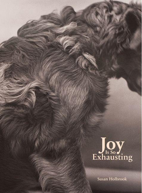 Vorderes Coverbild Joy Is So Exhausting