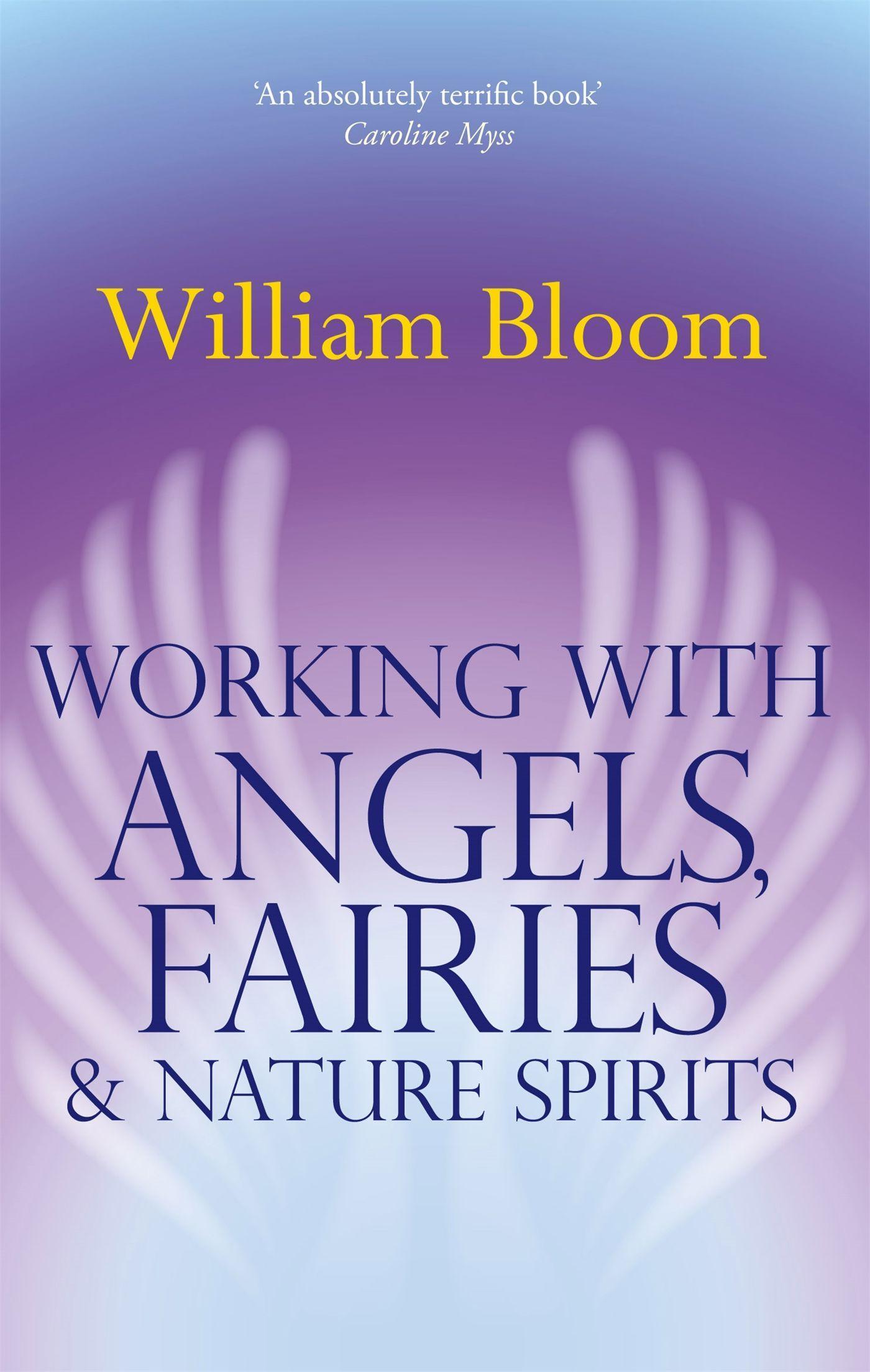 Vorderes Coverbild Working With Angels, Fairies And Nature Spirits