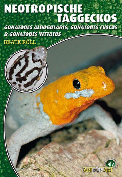 Vorderes Coverbild Neotropische Taggeckos
