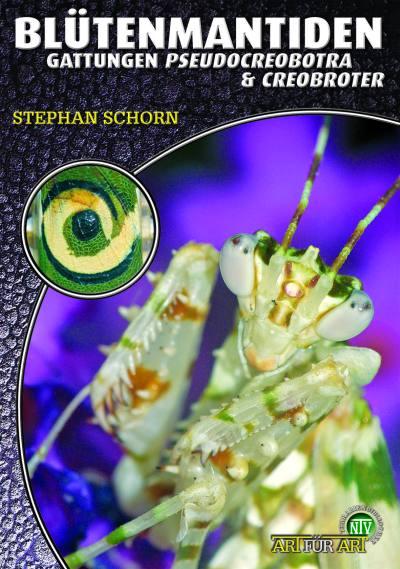 Vorderes Coverbild Blütenmantiden (Gattungen Pseudocreobotra & Creobroter),