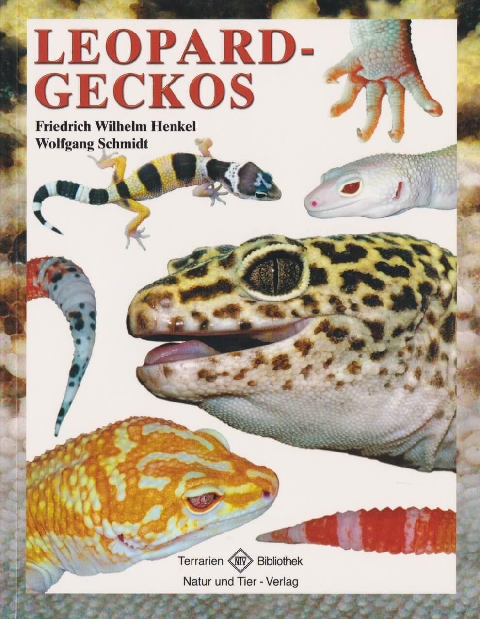 Vorderes Coverbild Leopardgeckos