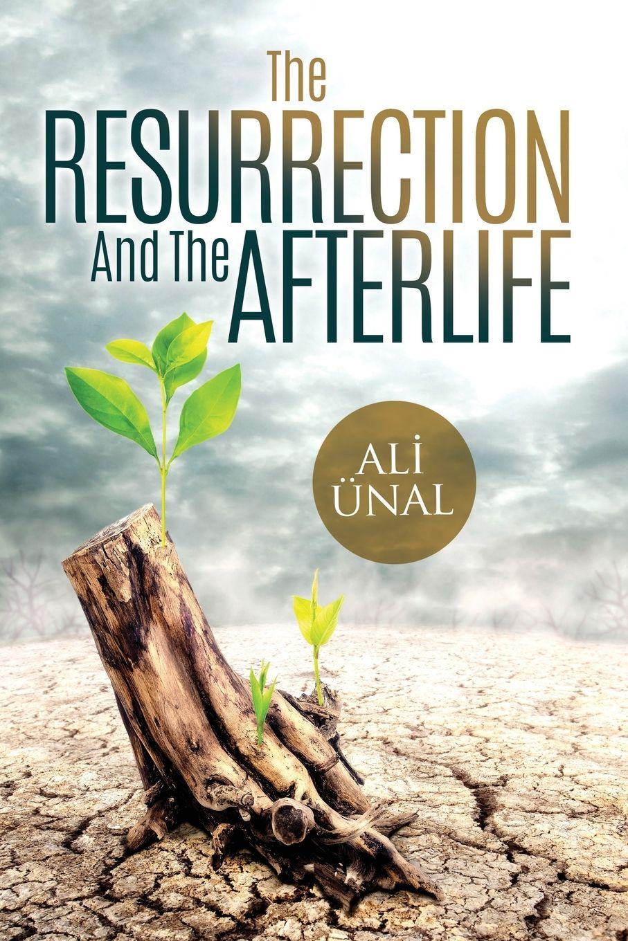 Vorderes Coverbild The Resurrection and the Afterlife