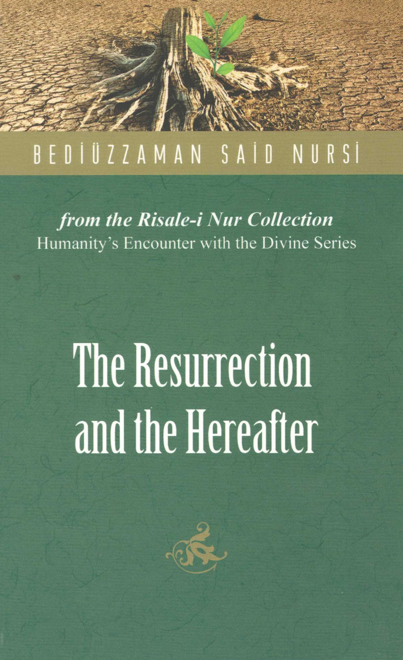 Vorderes Coverbild The Resurrection and the Hereafter