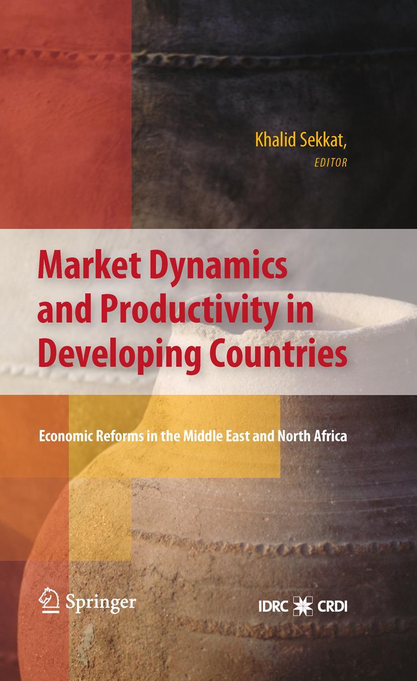 Vorderes Coverbild Market Dynamics and Productivity in Developing Countries
