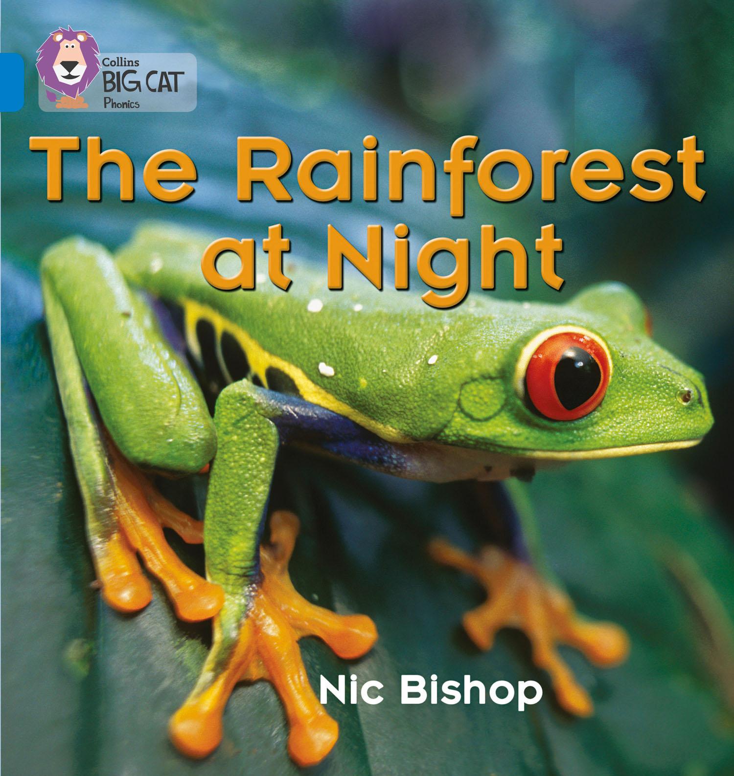Vorderes Coverbild The Rainforest at Night
